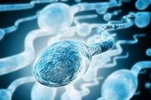 美国做试管婴儿该注意什么？美国试管婴儿各个阶段该吃点什么？美国试管婴儿忌口有哪些？