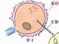 宝鸡岐山县做试管婴儿的医院有哪些，宝鸡做试管哪里较好