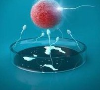 内蒙古特需试管流程？