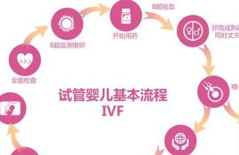 在广东做试管生孩子要多少钱？需要注意哪些问题？